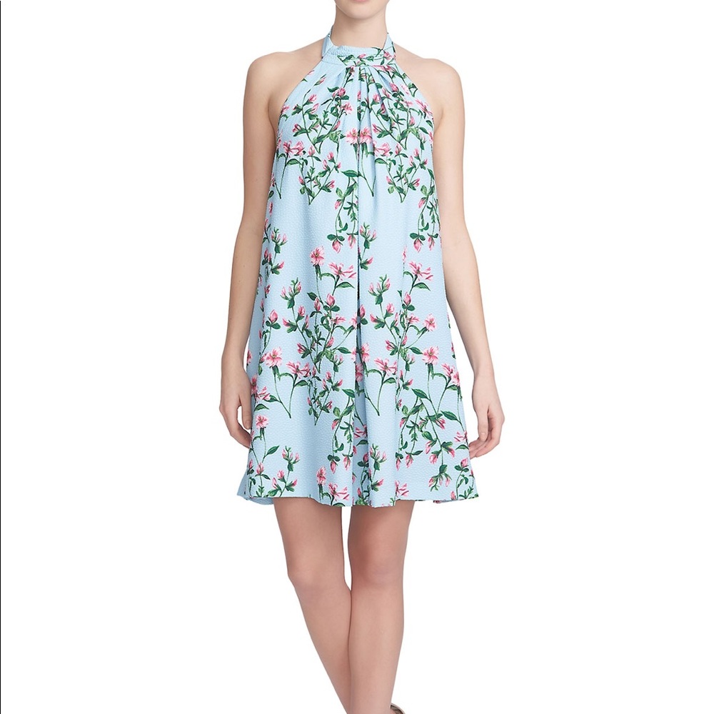 Cynthia Steffe Halter-Neck Floral-Print Trapeze Dress